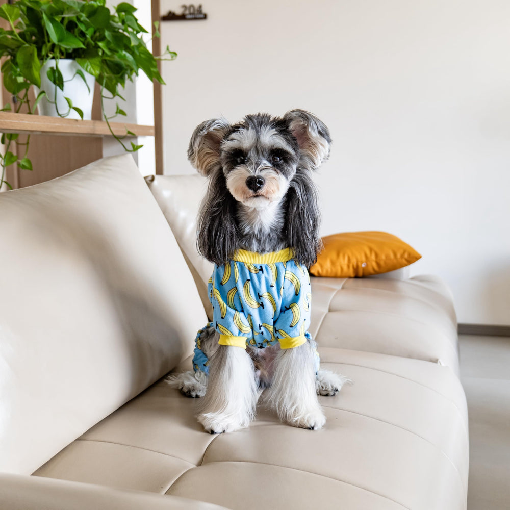 Pijama CuteBone con ajuste cómodo que no aprieta durante movimientos.