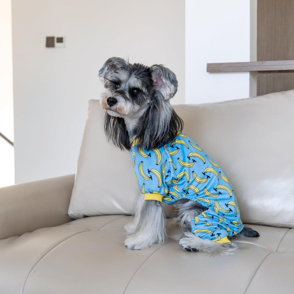 Pijama CuteBone para perro con capa de calor adicional.