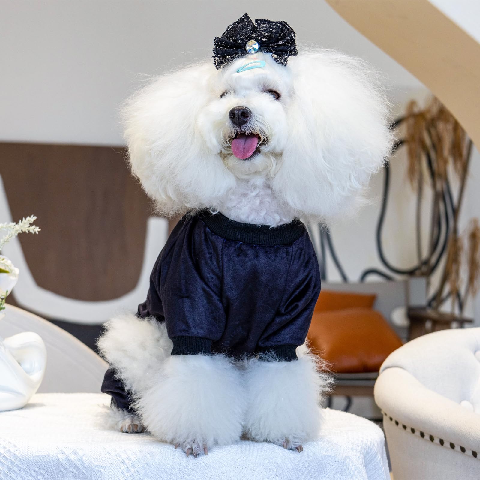 CuteBone prenda canina con diseño casual, protege pelaje y mantiene la casa limpia.