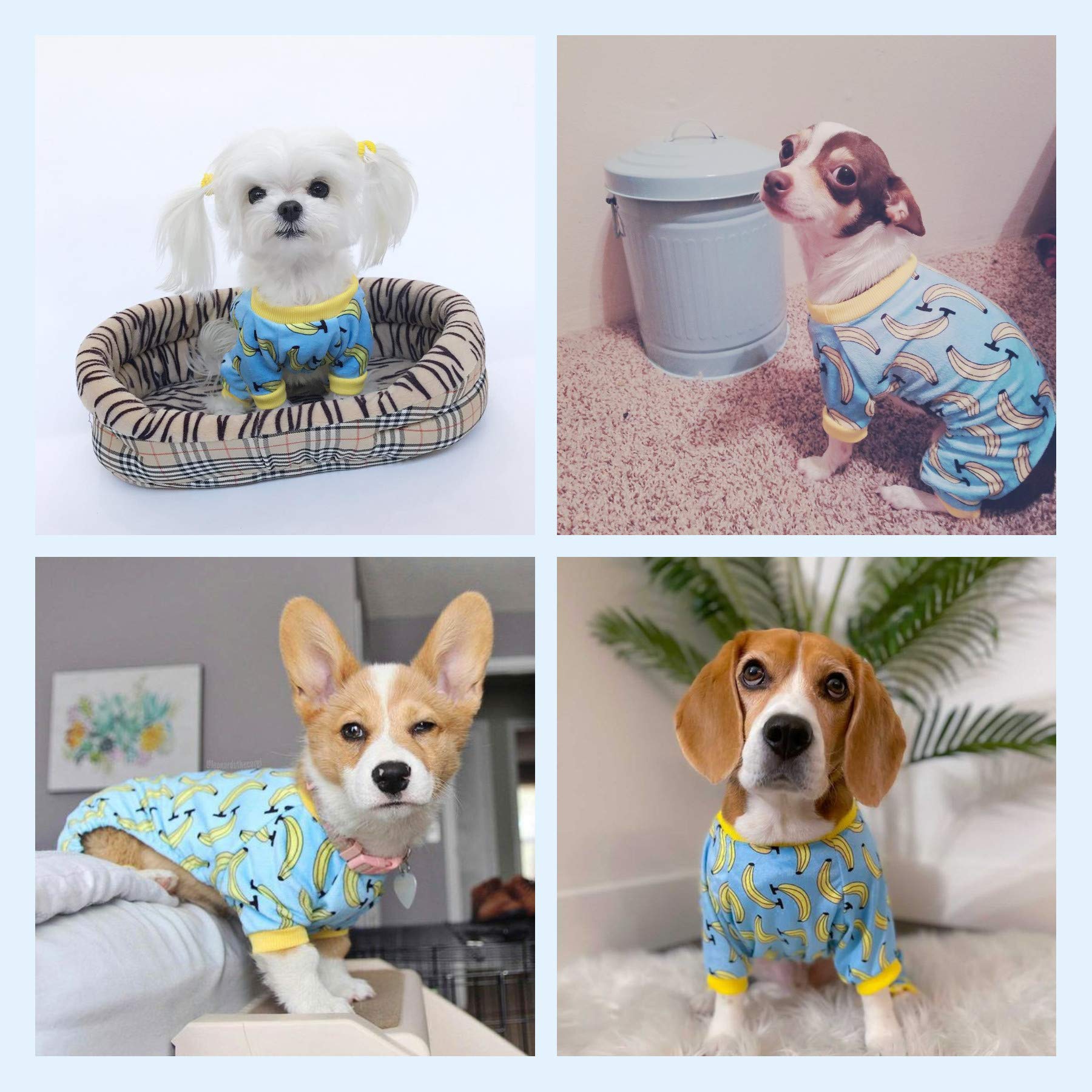 Pijama CuteBone para perro duradero para uso continuo.