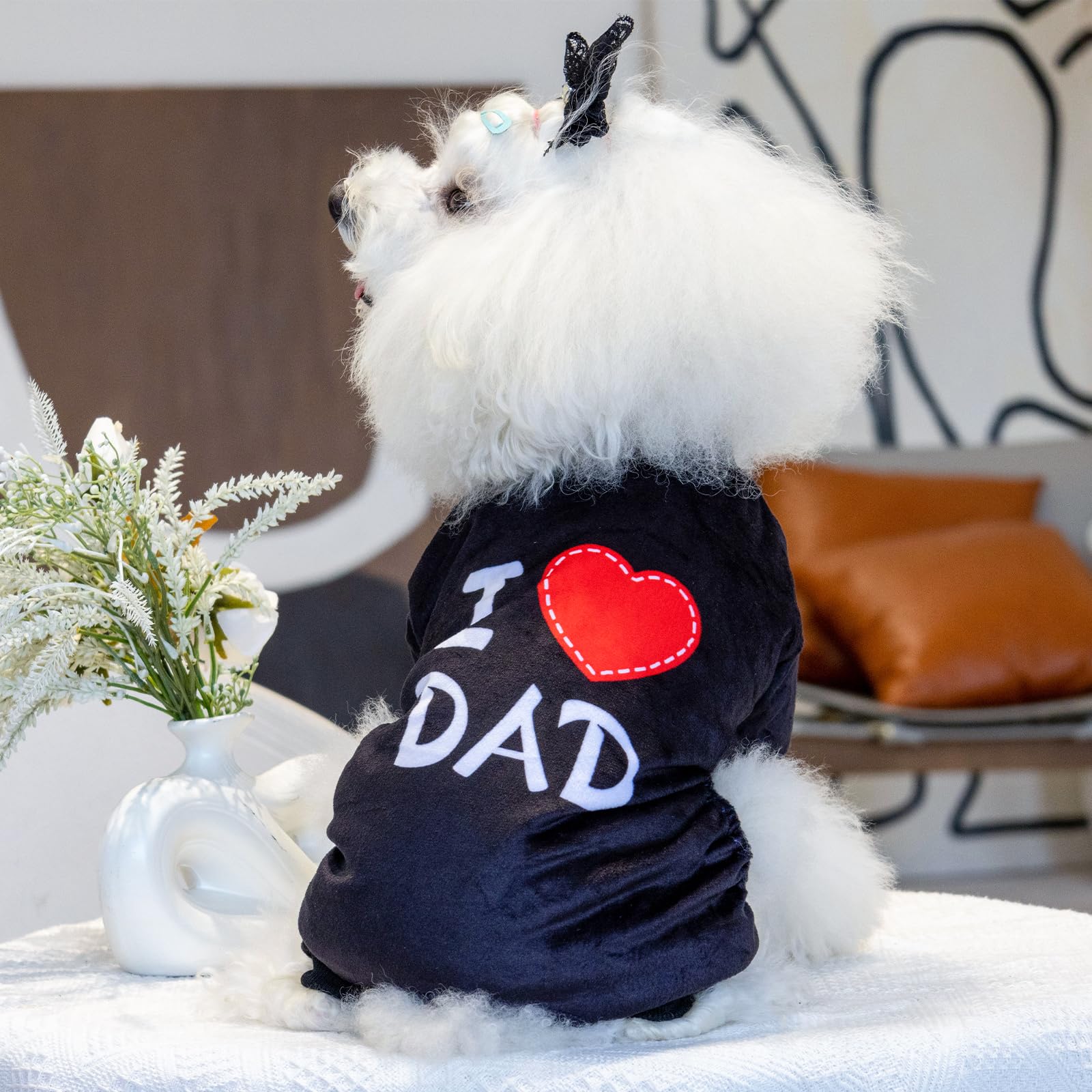 CuteBone pijama perro lavable a máquina, limpieza rápida tras paseos.