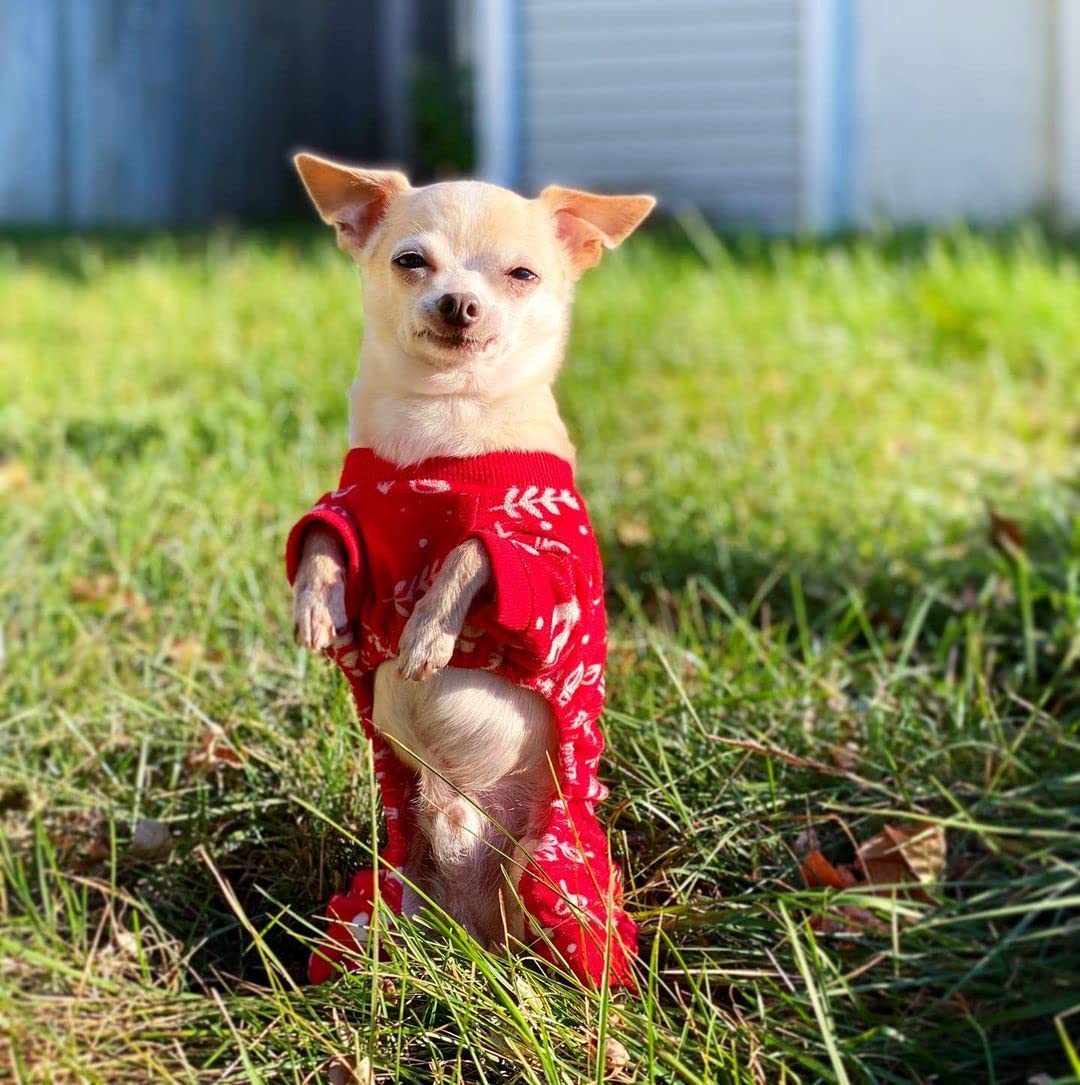 CuteBone pijamas-perro lavado a máquina, cuidado práctico.