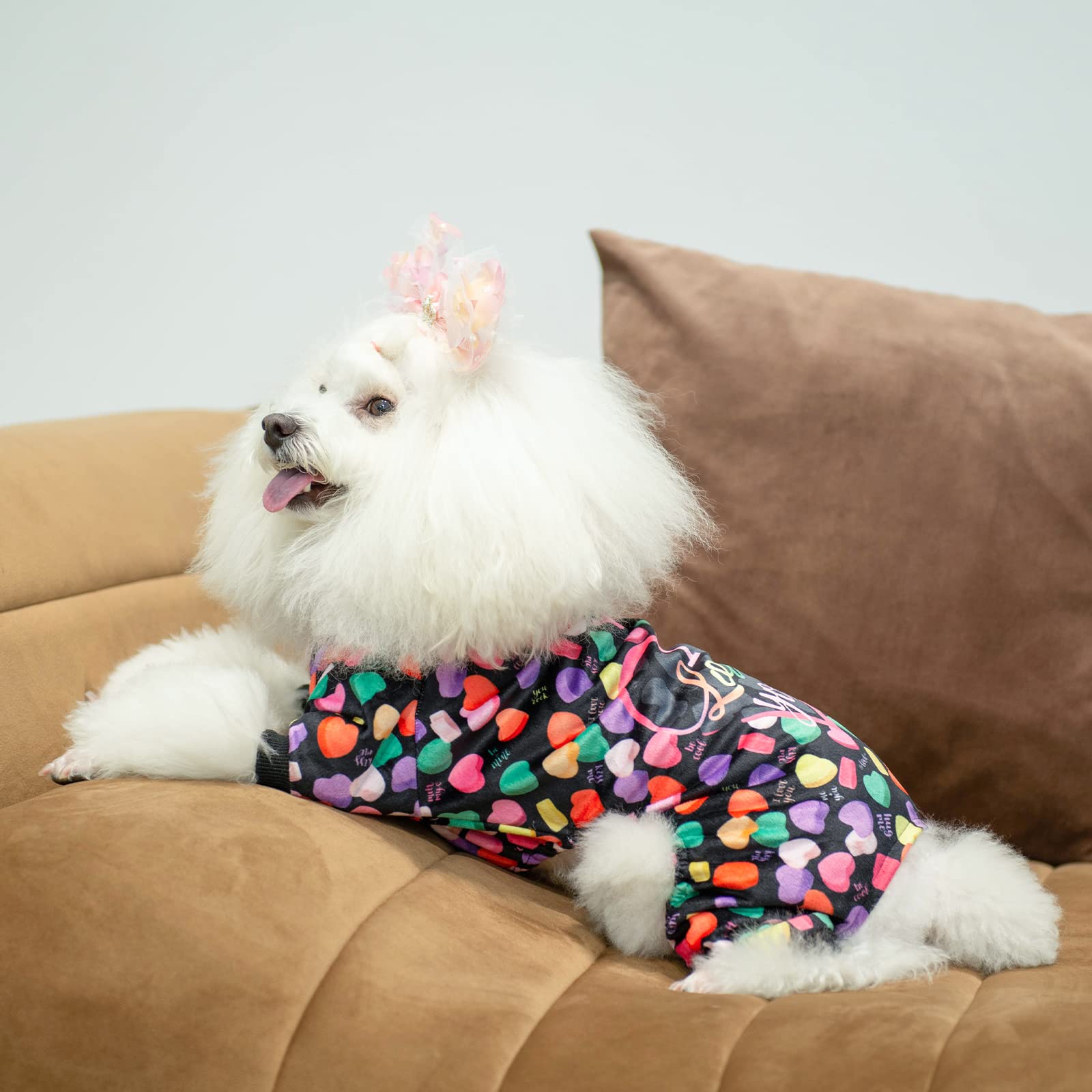 CuteBone pijamas para perro pequeño, uso todo el año, abriga sin sobrecalentar.