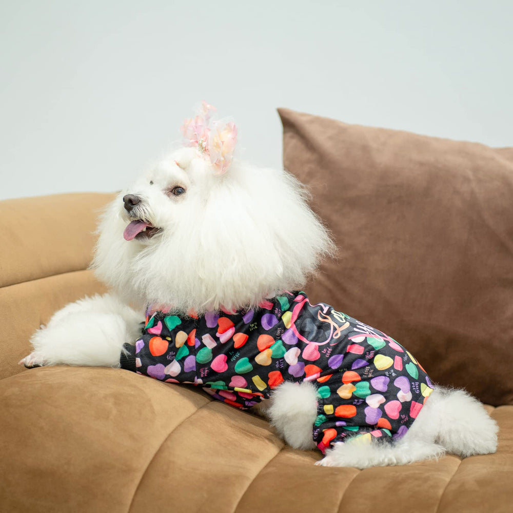 CuteBone pijamas para perro pequeño, uso todo el año, abriga sin sobrecalentar.