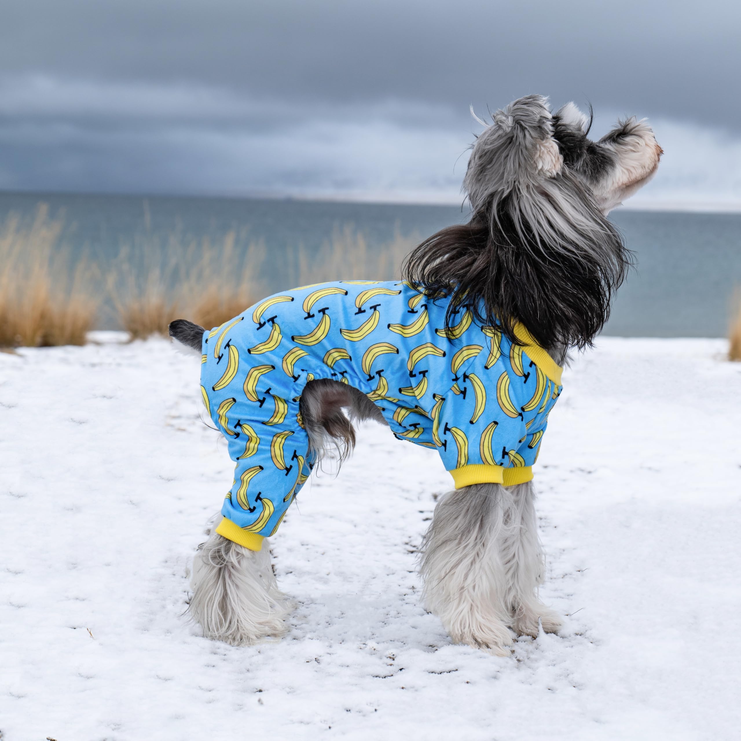 CuteBone pijamas para perro, uso durante todo el año y transpirabilidad.