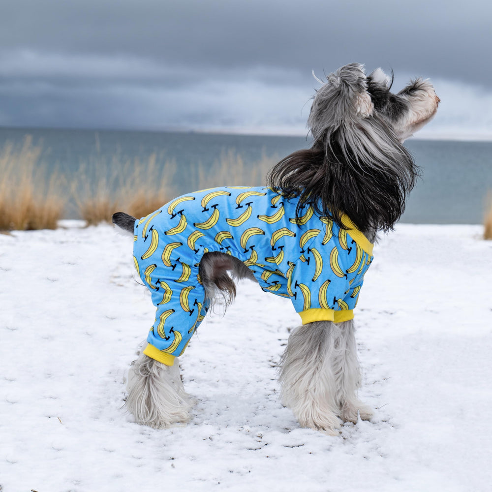 CuteBone pijamas para perro, uso durante todo el año y transpirabilidad.