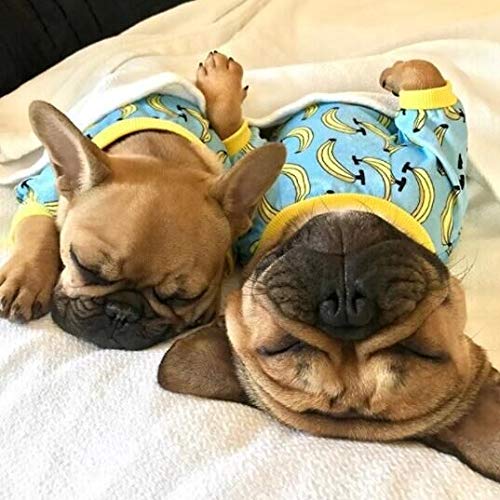 Pijama CuteBone para perro perfecto para uso diario y juego.