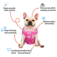 CuteBone prenda de recuperación postoperatoria para perro evita lamido