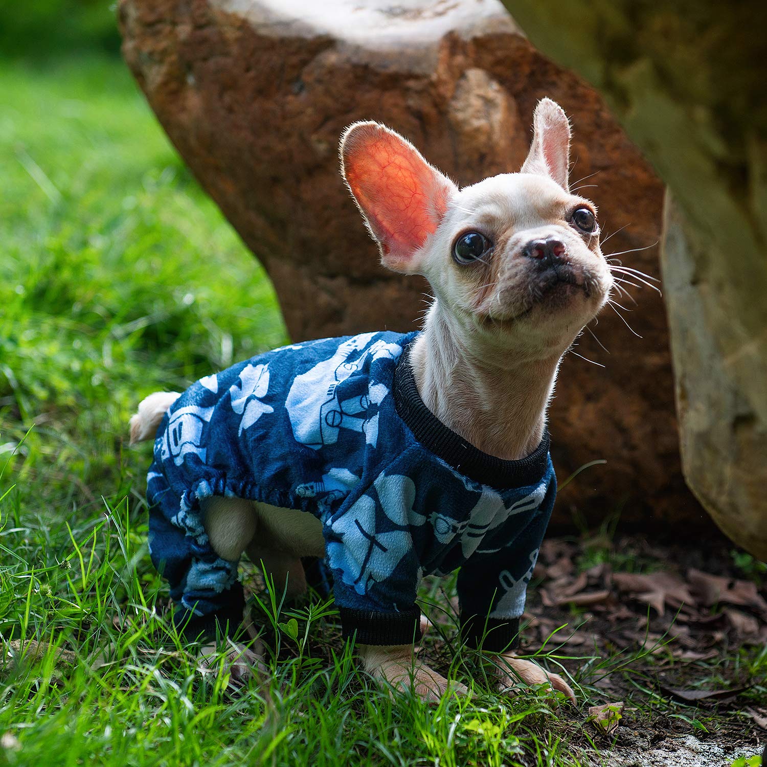 CuteBone prenda de una pieza para perro pequeno, ajuste comodo y seguro