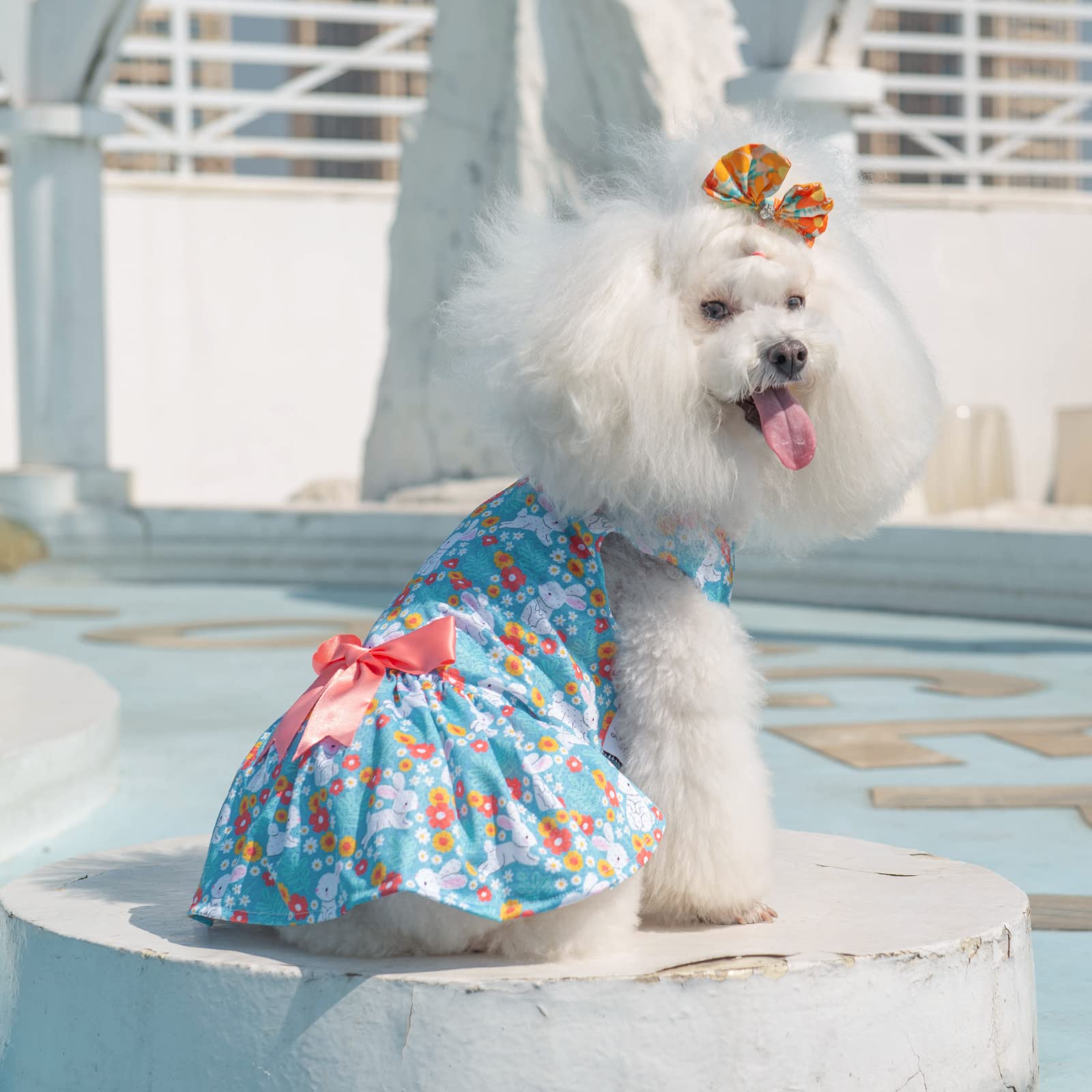 CuteBone conjunto adorable para looks de princesa en casa.