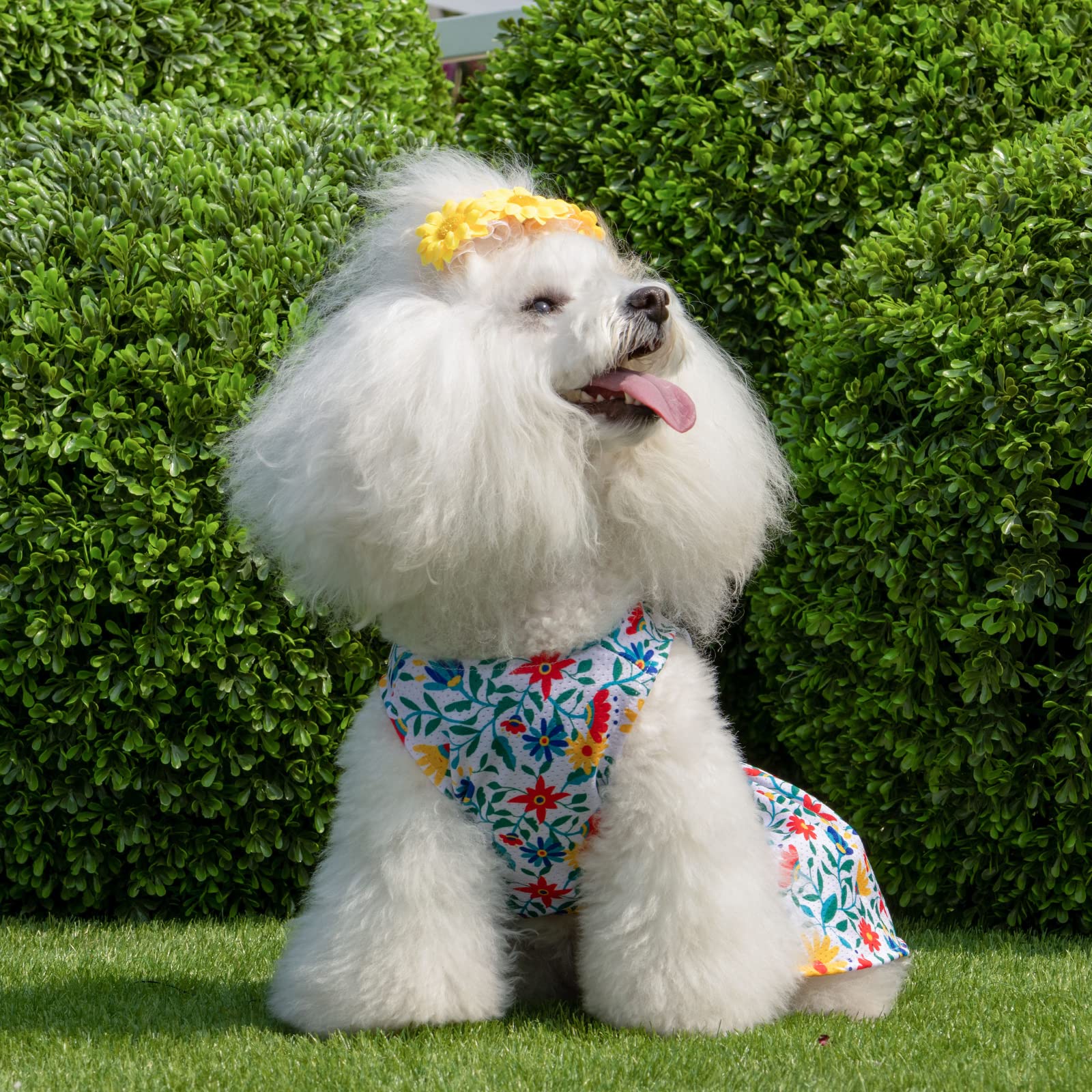 Toque de princesa con CuteBone, look encantador para ocasiones especiales.
