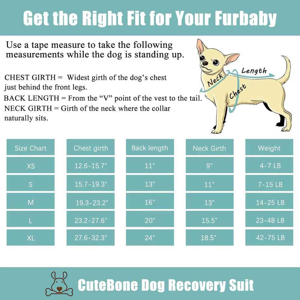 CuteBone recuperación postoperatoria esterilización, protege heridas y facilita la movilidad.