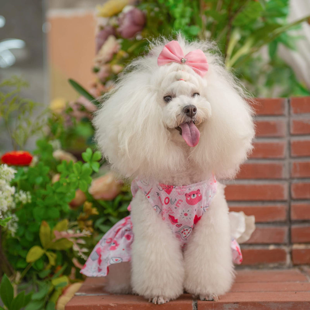 CuteBone ropa-perro-pequeno ideal para fotos y salidas casuales.