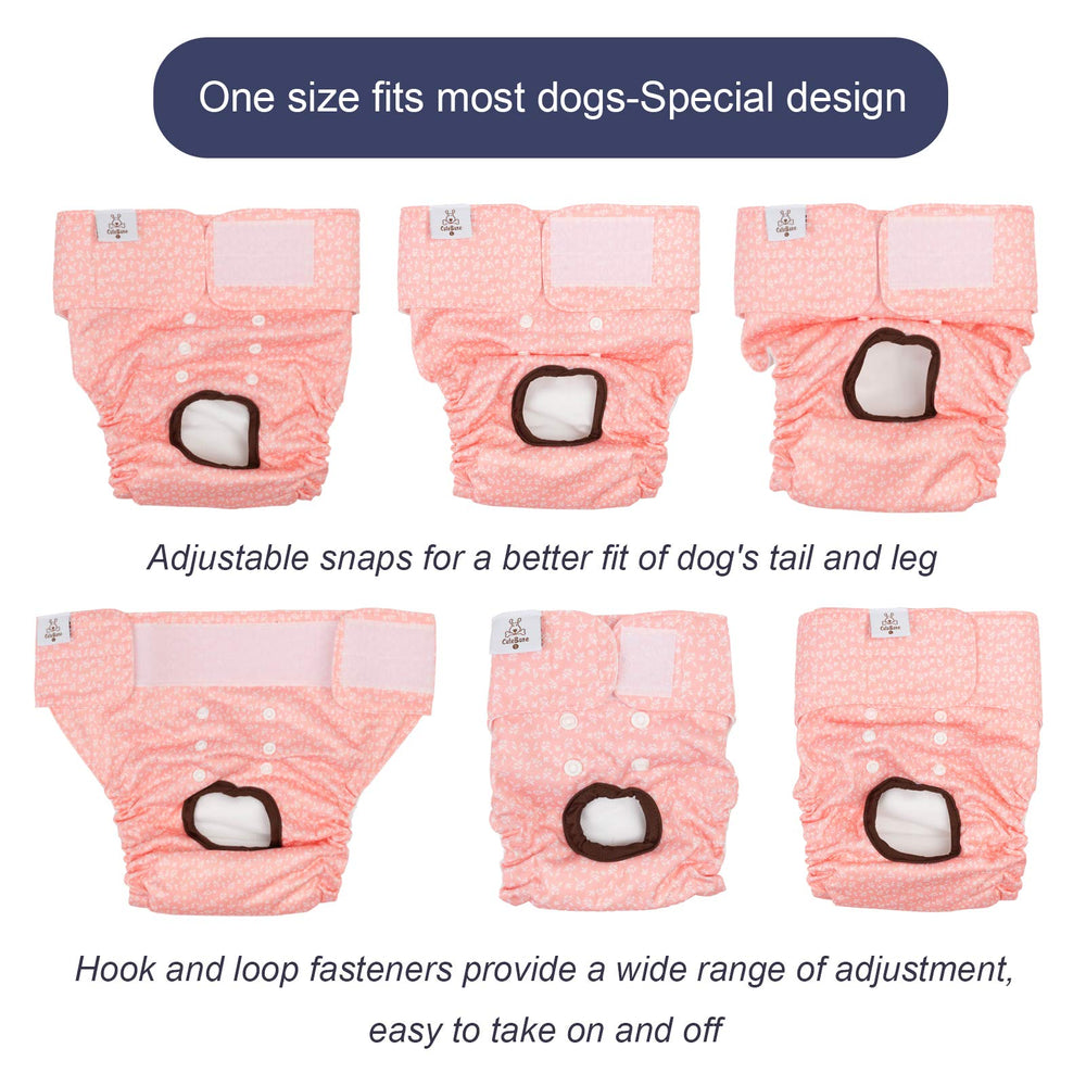 Broches traseros de CuteBone para ajuste personalizado y mejor posición de la cola