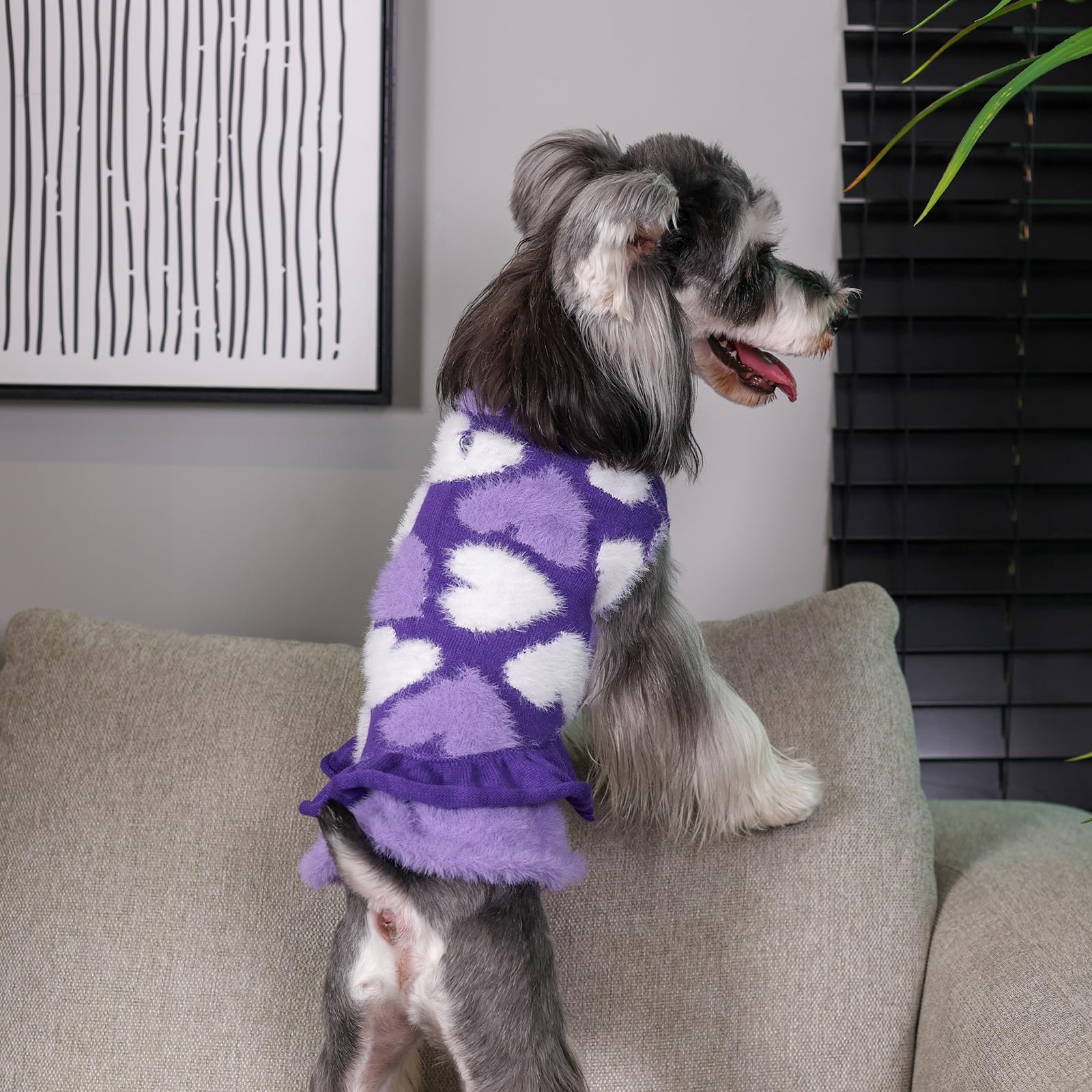 CuteBone sudadera-vestido de fácil colocación para sesiones de fotos.