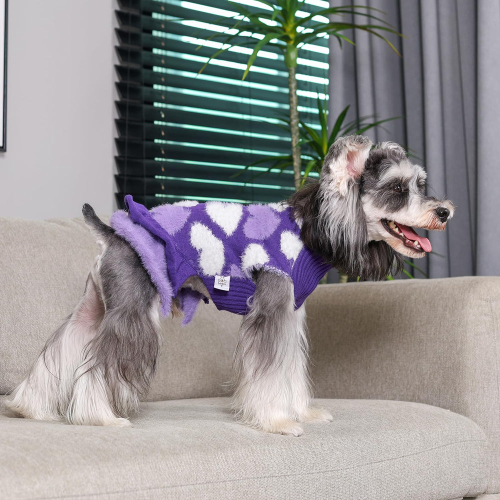 CuteBone sudadera-vestido con volantes realza la personalidad de la mascota.