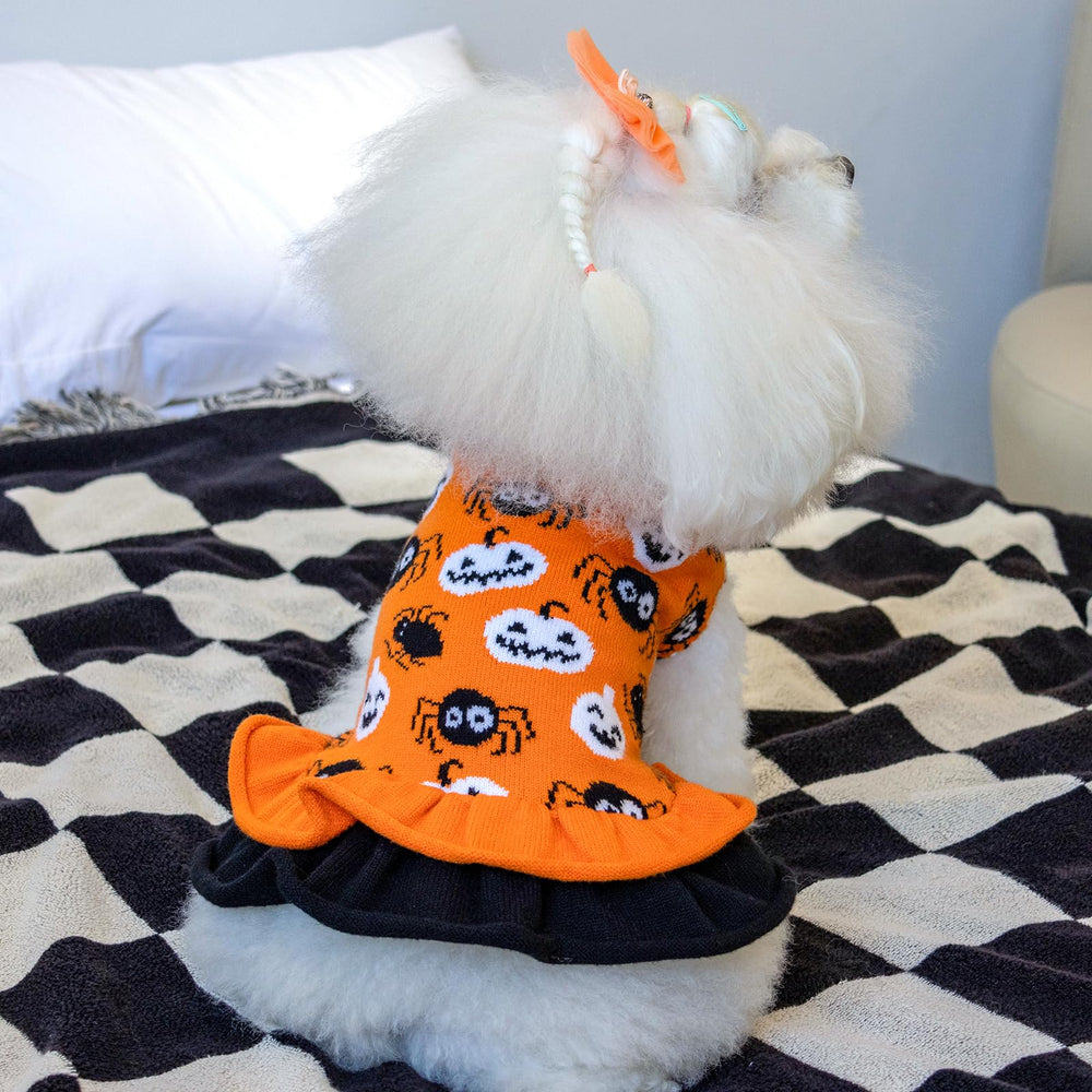 CuteBone suéter-perro cuello alto, protección suave para el cuello durante salidas.