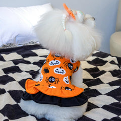 CuteBone suéter-perro cuello alto, protección suave para el cuello durante salidas.