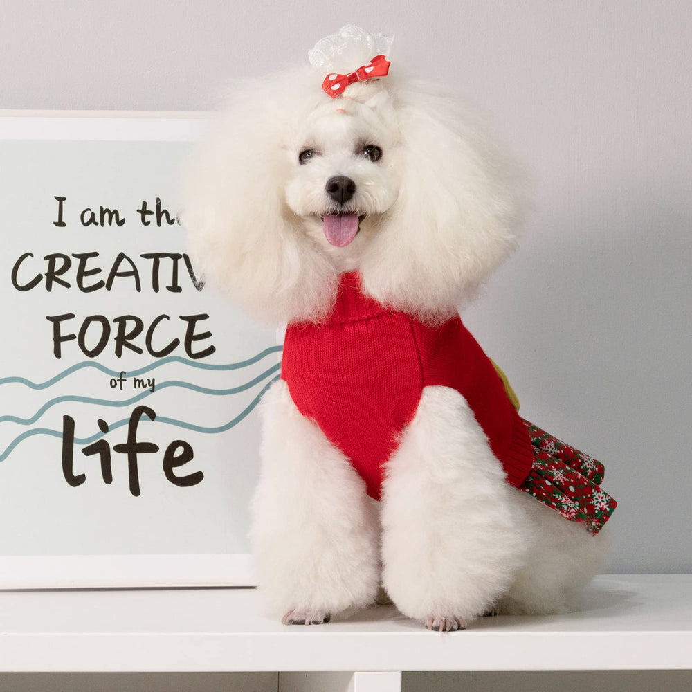Cutebone suéter con pedrería y lazo que realzan la dulzura de tu mascota.