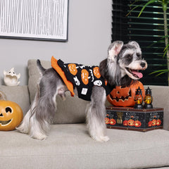 CuteBone suéter-vestido para perro con calabaza lateral, perfecto para fotos festivas.