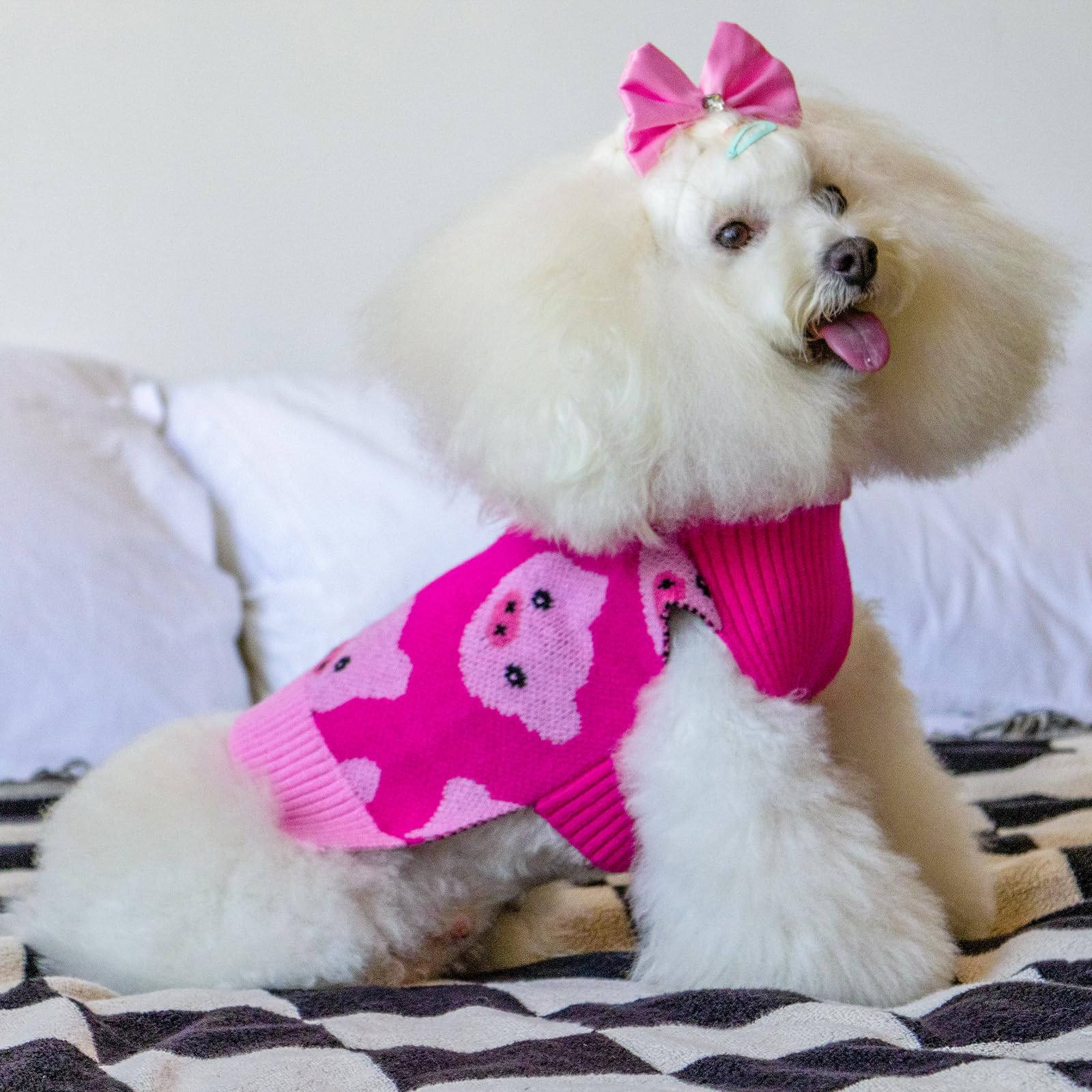 Suéter CuteBone con cuello alto para perro, calor en días fríos.