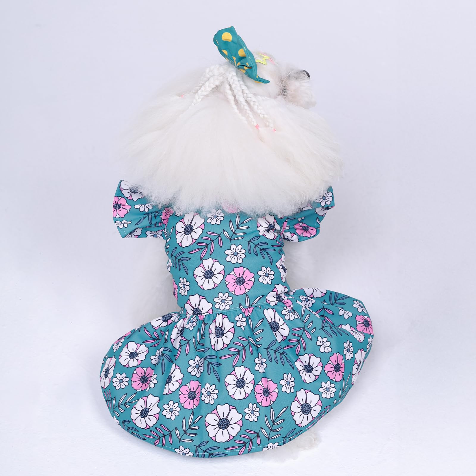 CuteBone talla para perros pequeños.