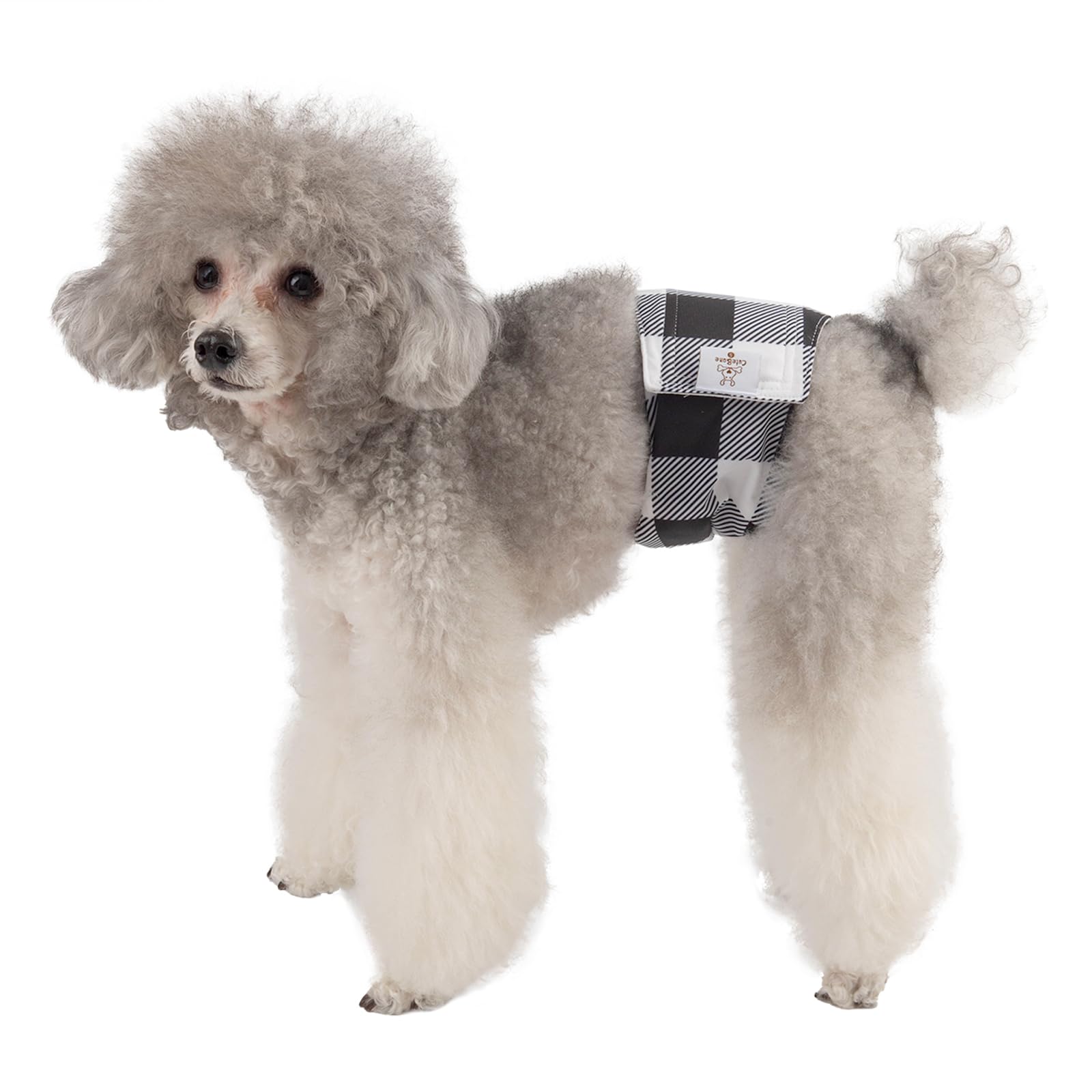 Tallas XS a L de CuteBone para encontrar el ajuste adecuado.