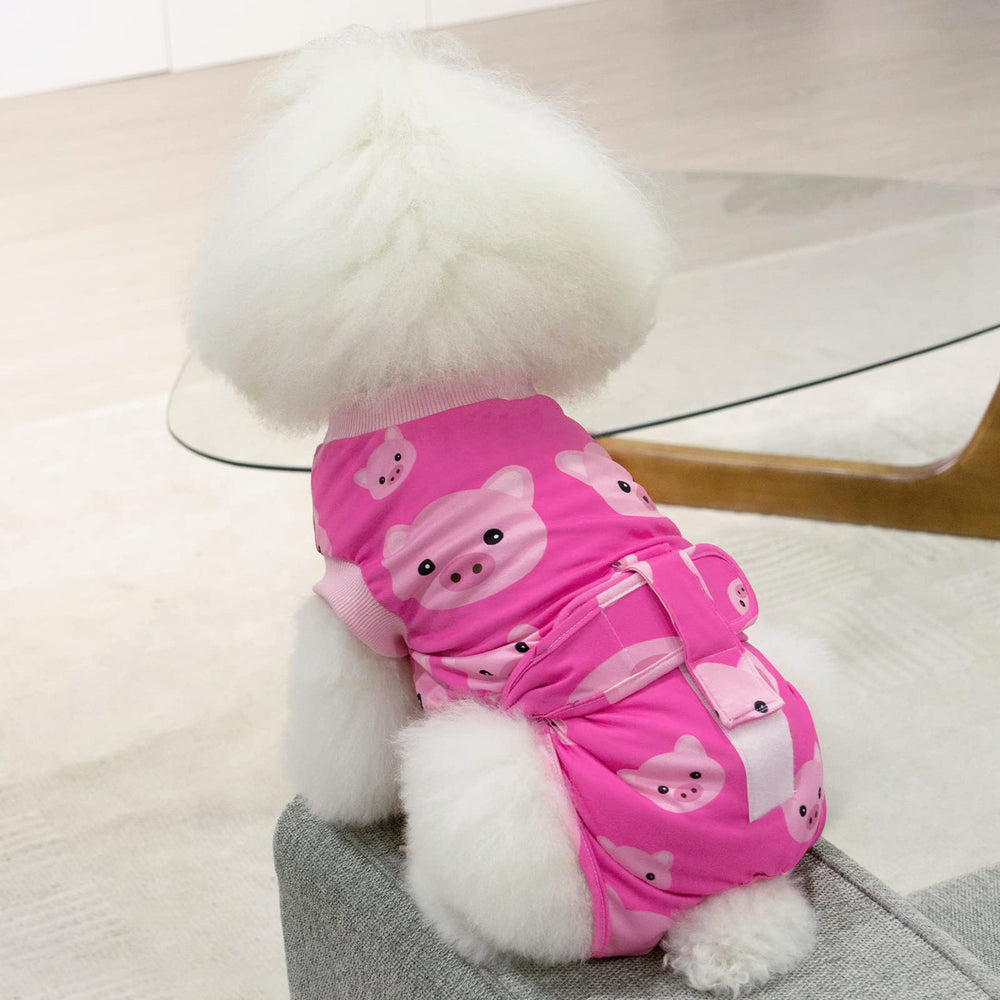 CuteBone tallas XS a XL para perros y gatos
