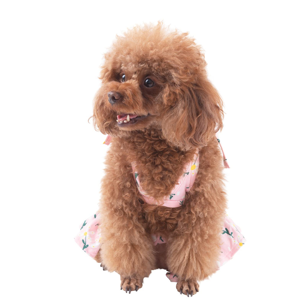 CuteBone conjunto de baño canino ligero ideal para verano