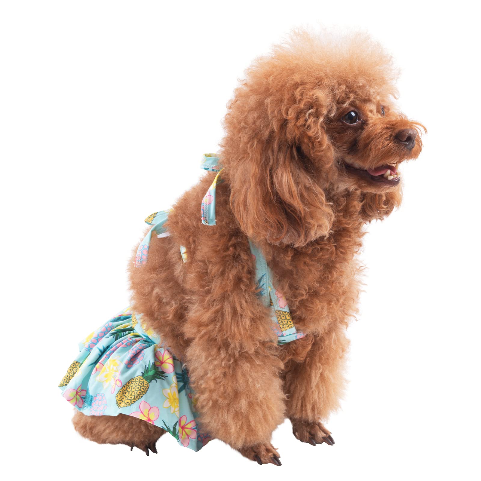 CuteBone traje bano perro pequeño lavable a maquina lista aventura