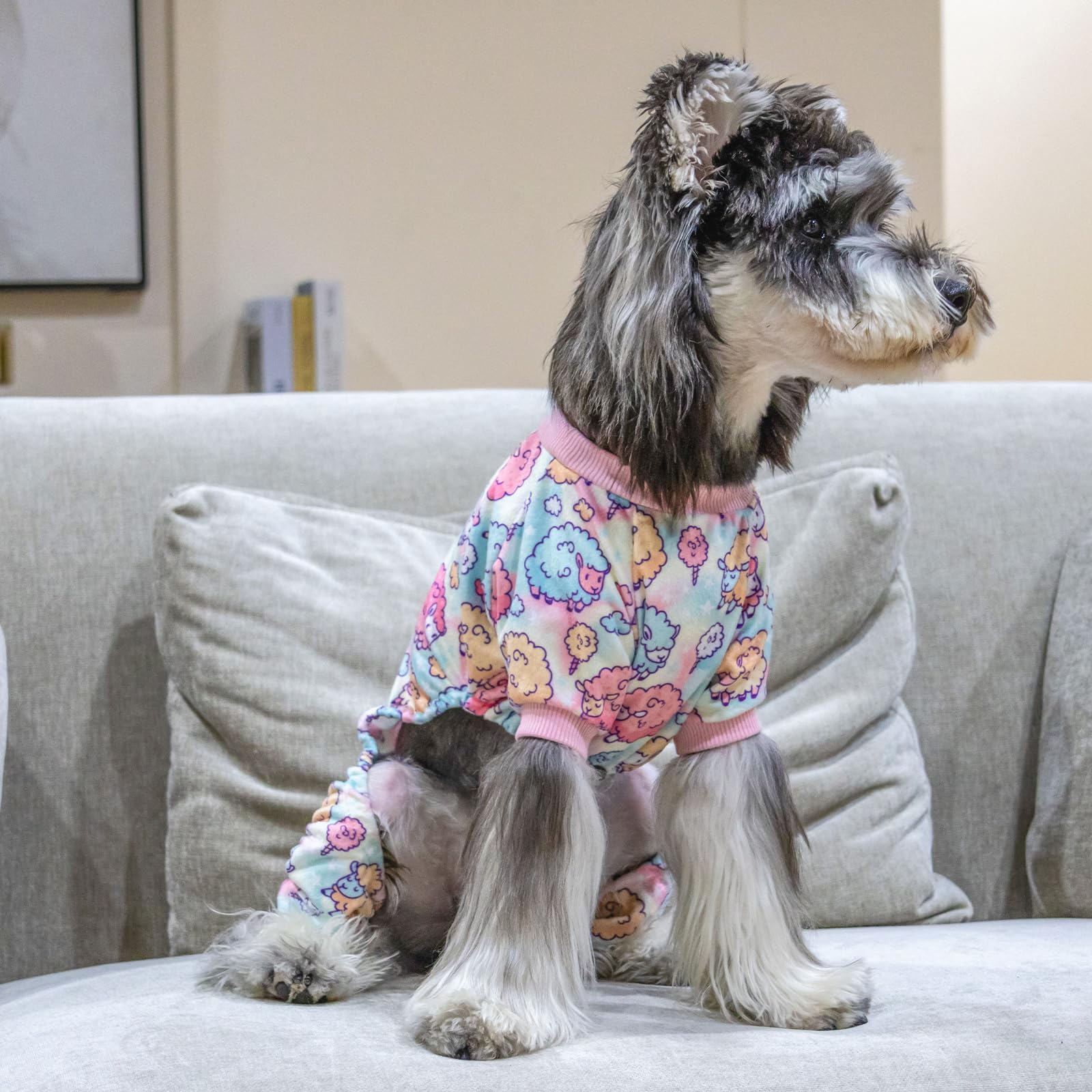 CuteBone perfecto para uso diario en casa o de viaje.