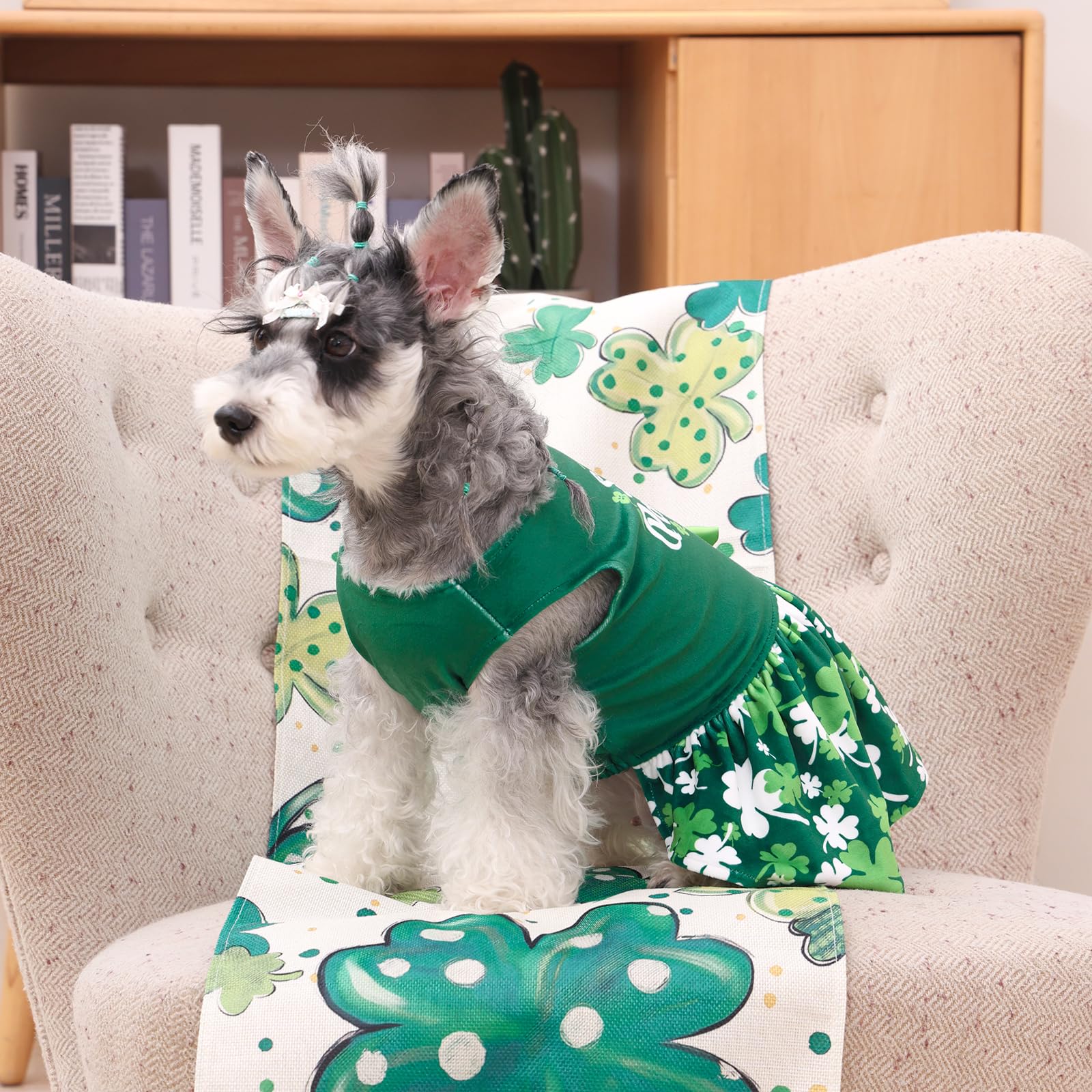 Vestido para uso diario o eventos especiales de CuteBone para perro pequeño.