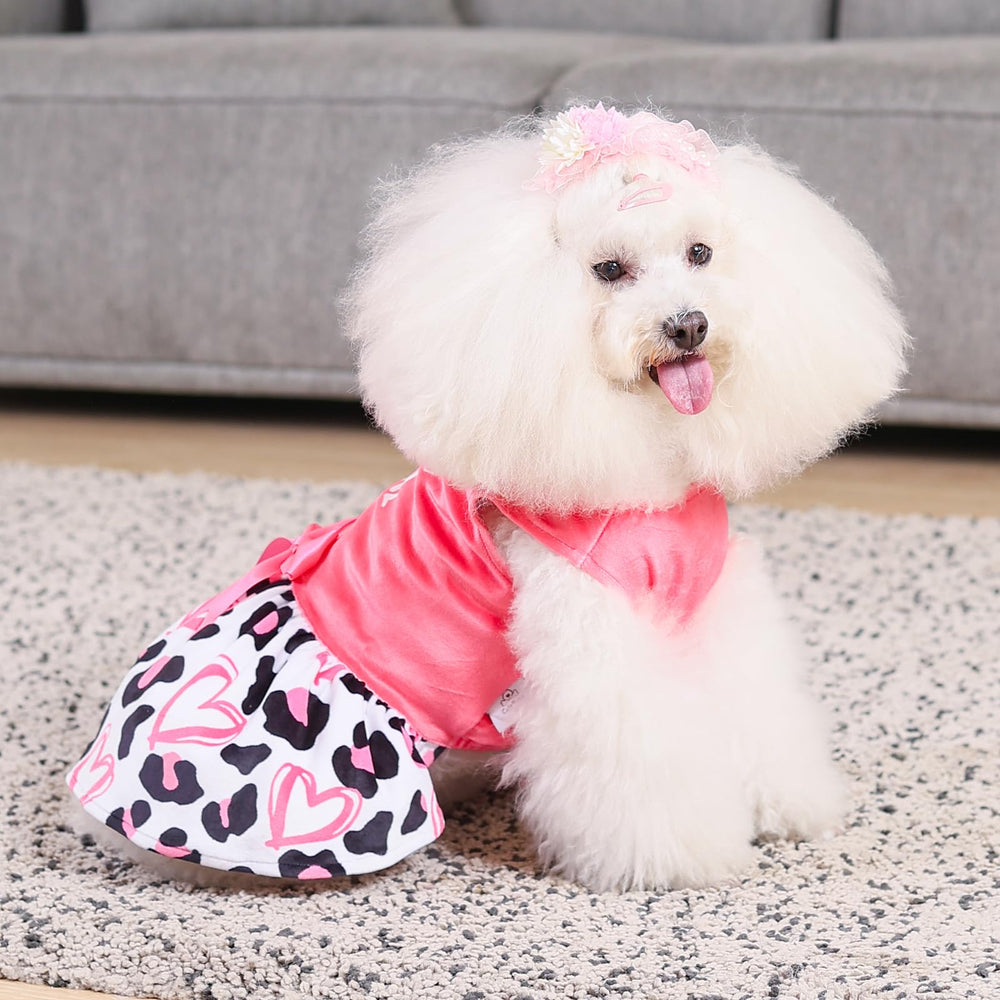 CuteBone vestido para uso diario en perros pequenos, practico y estilizado