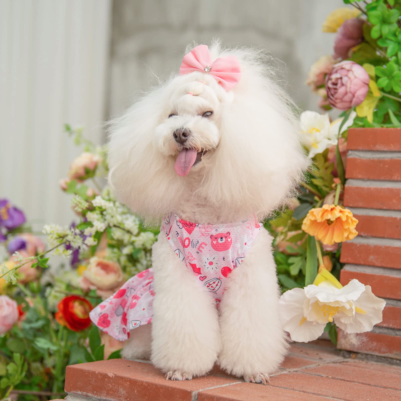 Vestido para uso diario de CuteBone, cómodo para paseos y eventos.