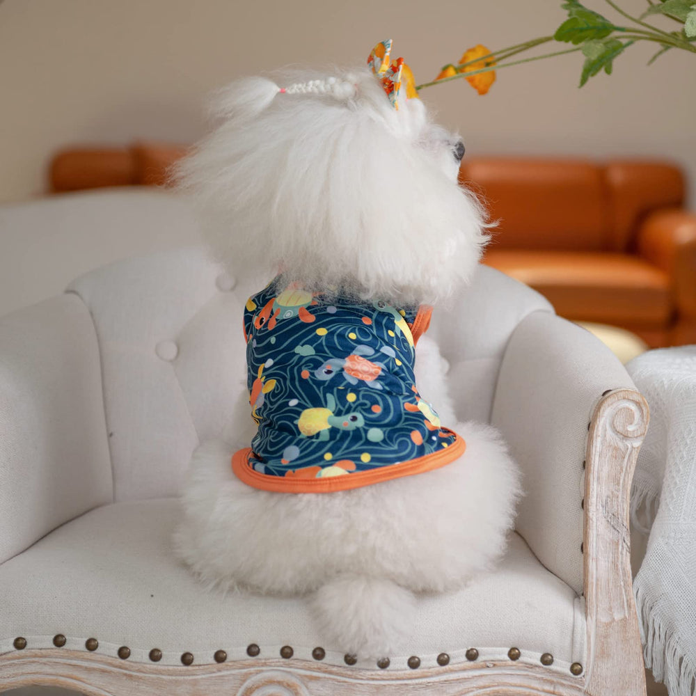 CuteBone variedad de tallas y colores; encontrar el ajuste perfecto para tu mascota.