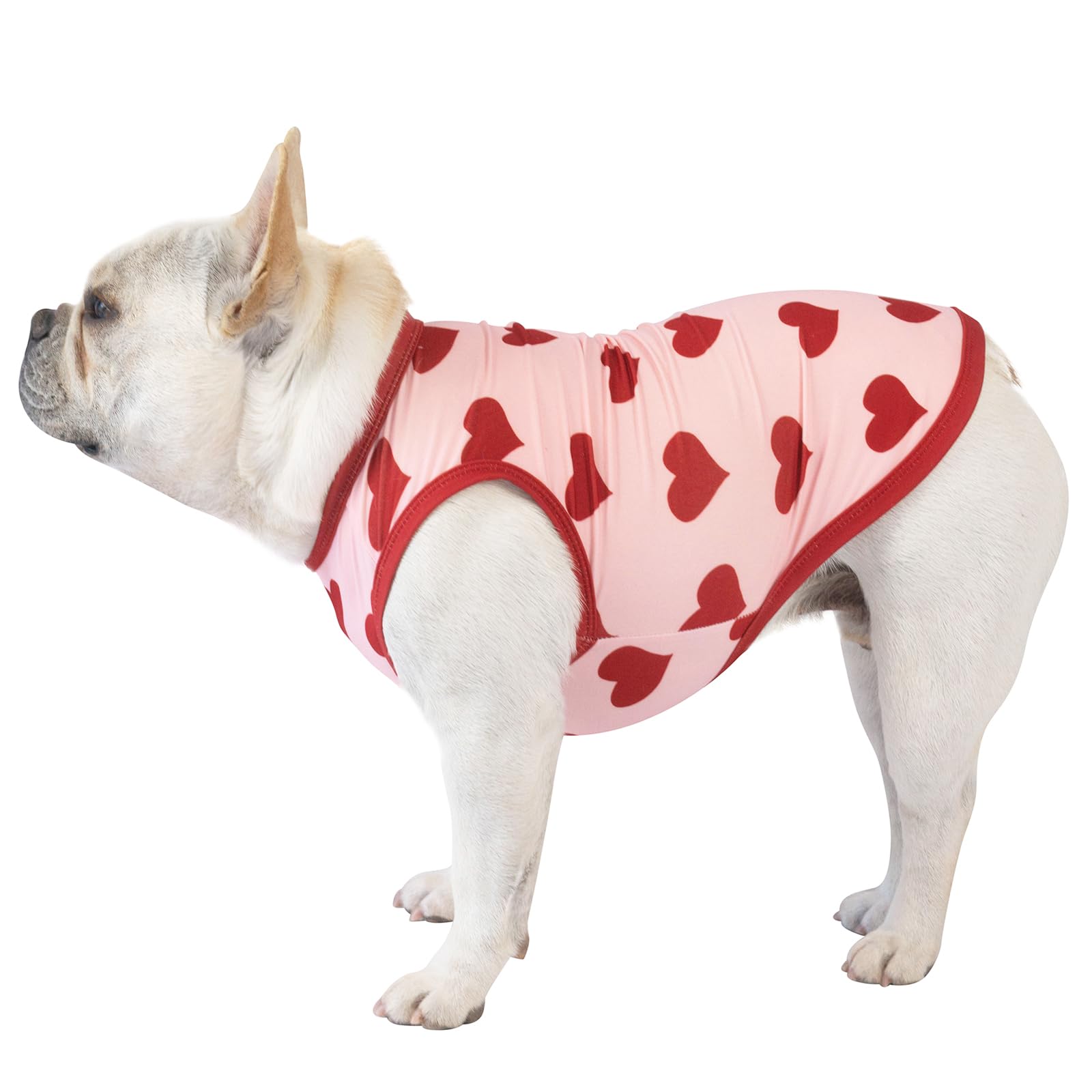 CuteBone variedad de tallas y diseños, opciones para cada cachorro.