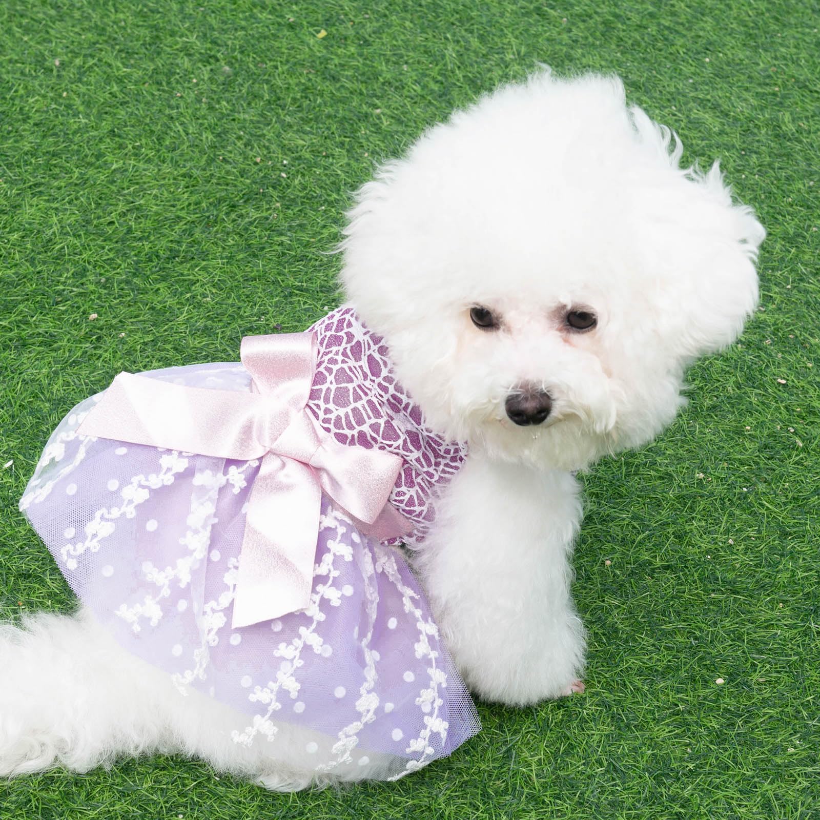 Confortable CuteBone, vestido versátil para todas las ocasiones especiales.