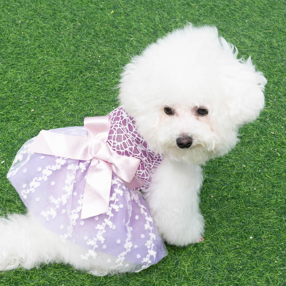 Confortable CuteBone, vestido versátil para todas las ocasiones especiales.