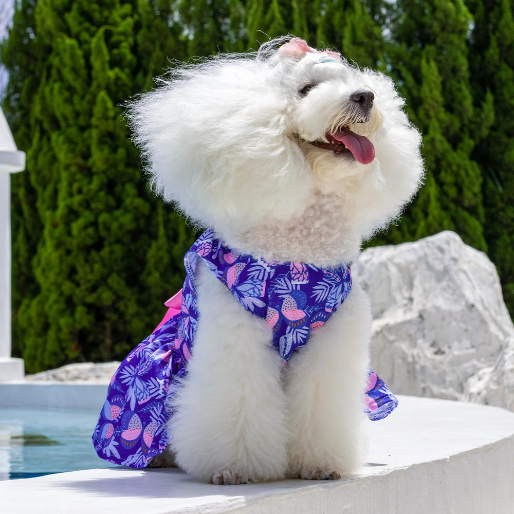 Vestido para uso diario de CuteBone, cómodo para paseos y fotos.