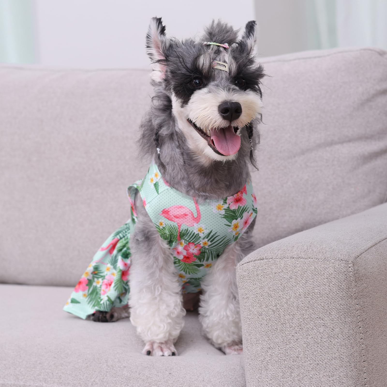 CuteBone vestido para fiestas y sesiones de fotos de ocasión