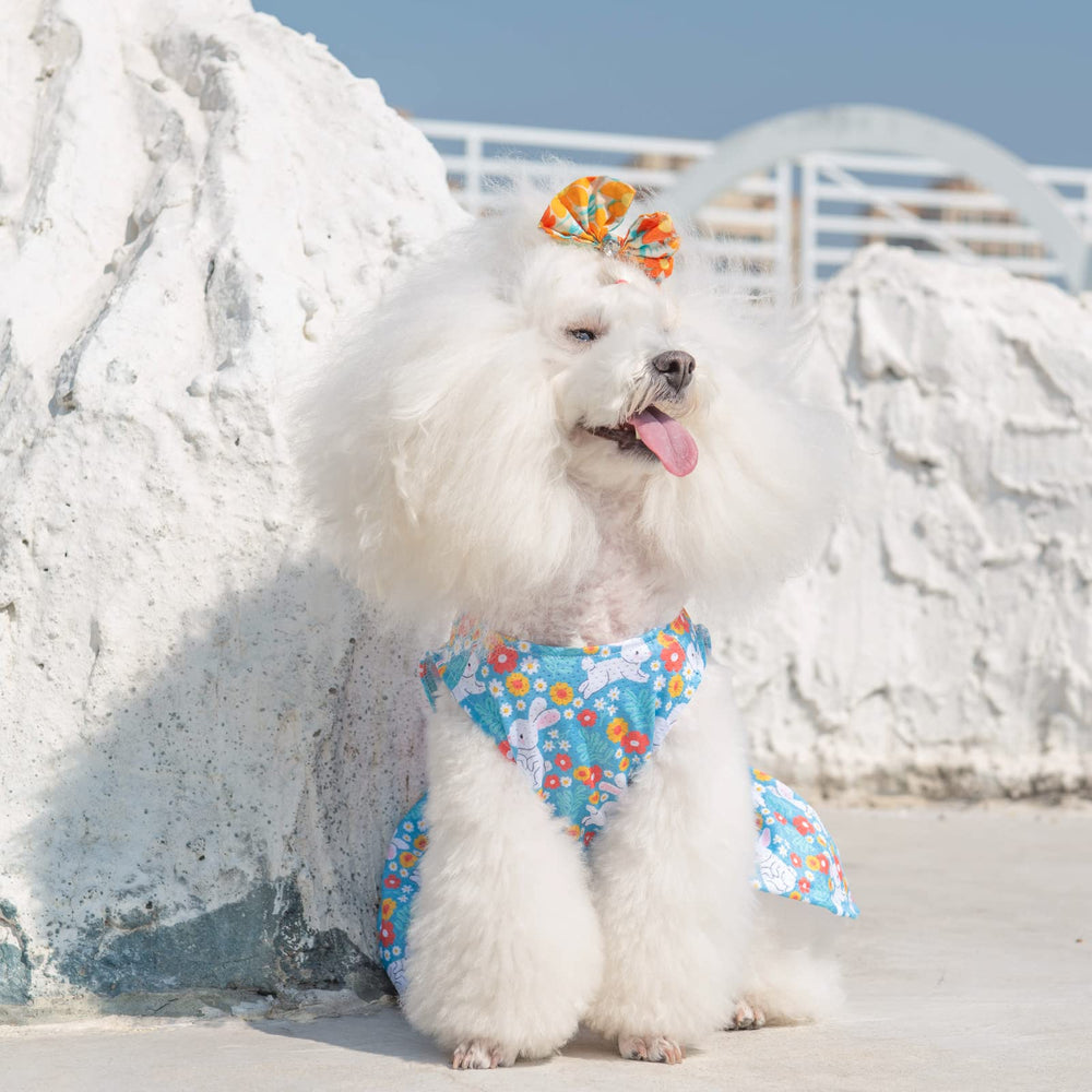 CuteBone accesorio lazo vestido malla para perros pequeños, completa look para eventos
