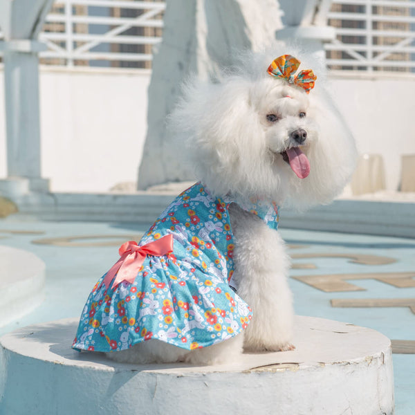 CuteBone vestido malla para perros pequeños, ideal para fiestas o sesiones de fotos