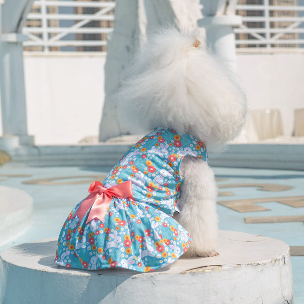 CuteBone uso diario vestido malla para perros pequeños, cómodo y transpirable