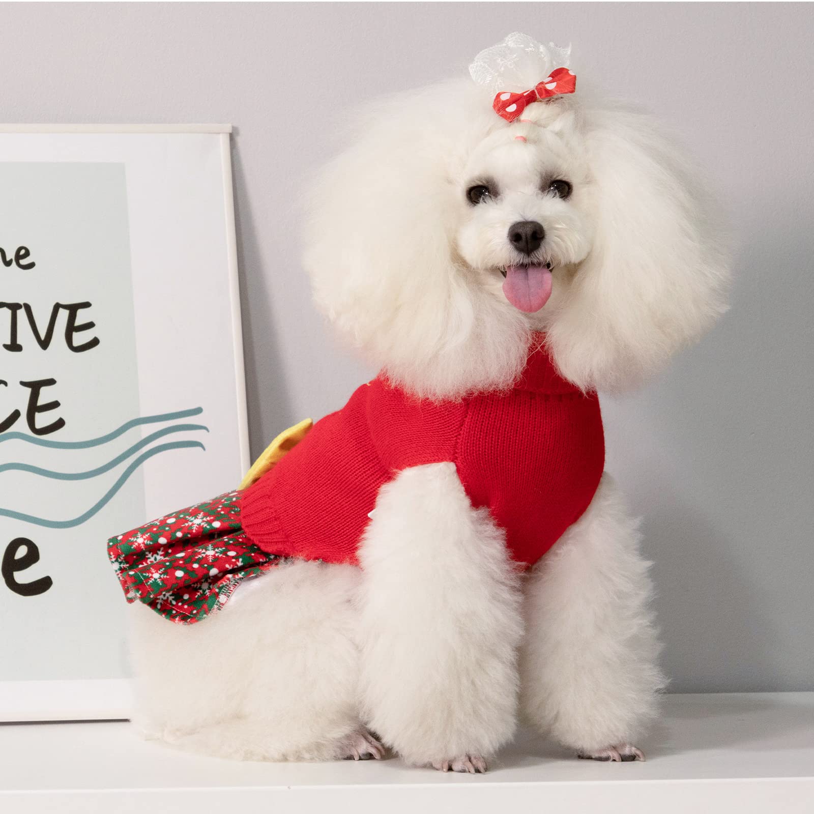 CuteBone vestido navidad para perro con falda copo de nieve, ideal para fotos.