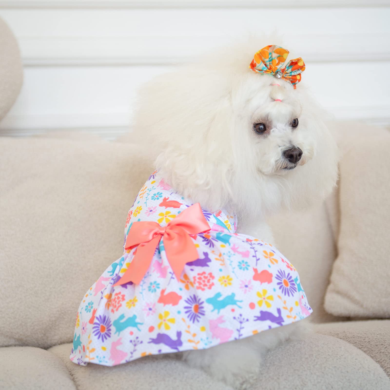 CuteBone vestido para fiestas y paseos, estiliza cada salida.