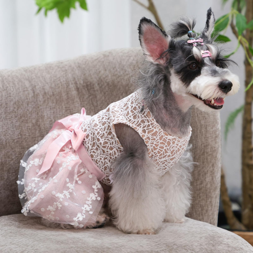 Vestido CuteBone para boda de mascota, elegante para ocasiones especiales