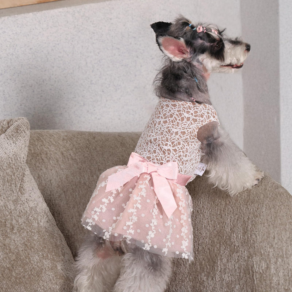 Vestido CuteBone para sesiones de fotos, perfecto para capturar sonrisas