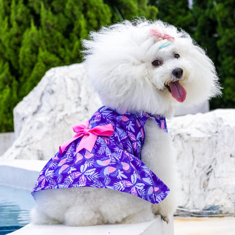 Vestido para fiesta de CuteBone, look elegante para ocasiones especiales.