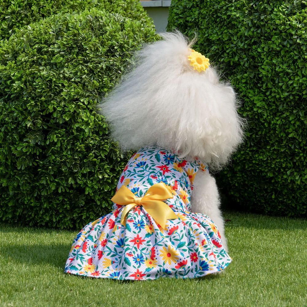 CuteBone conjunto vestido y lazo para sesiones de fotos.