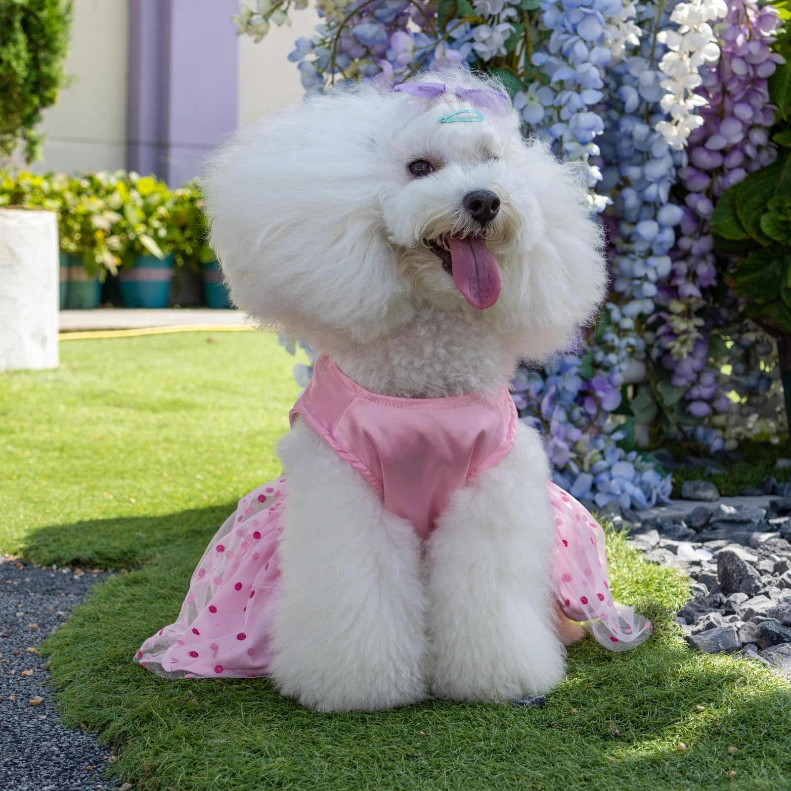CuteBone vestido para fiesta, ideal para celebraciones de mascotas.